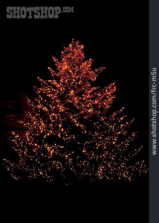 
                Beleuchtung, Weihnachtsbaum                   