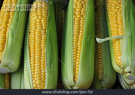 
                Maize Cob, Maize, Sweetcorn, Corn                   