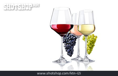 
                Wein, Weinsorte                   