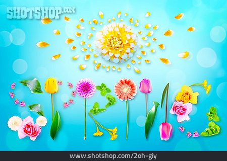 
                Frühling, Sonnig, Blumenblüte, Spring                   