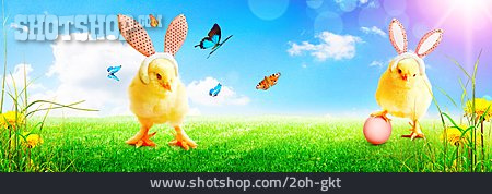 
                Easter, Easter Egg, Chicks, Springtime                   
