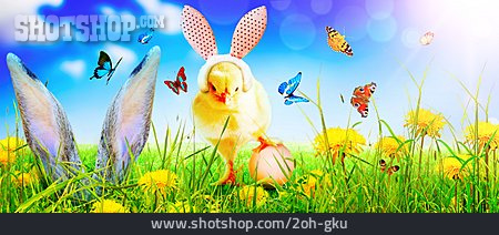 
                Ostern, Küken, Hasenohren, Frühlingszeit                   