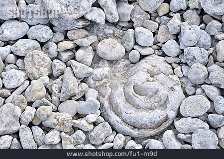 
                Steine, Muschelkalk                   