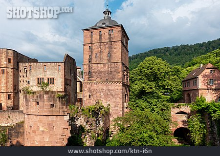 
                Heidelberger Schloss                   