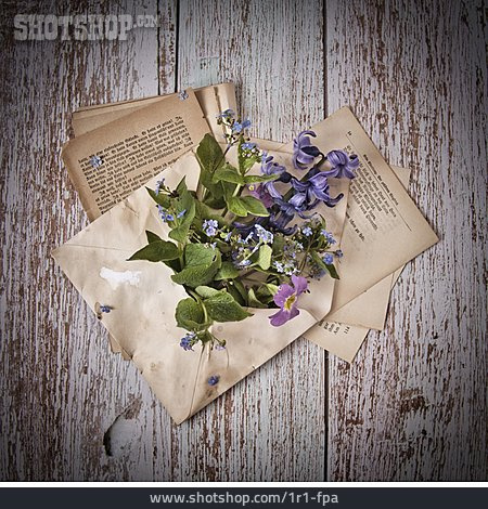 
                Flowers, Forget-me-not, Spring Flowers, Bouquet, Envelope                   