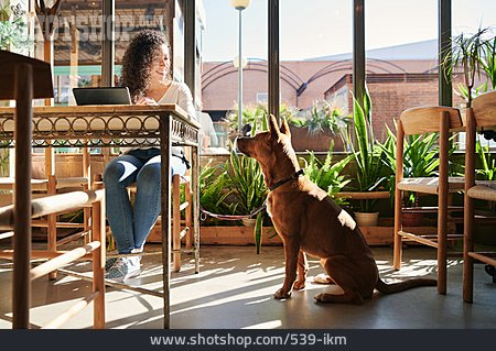 
                Internet, Hundebesitzer, Cafe                   