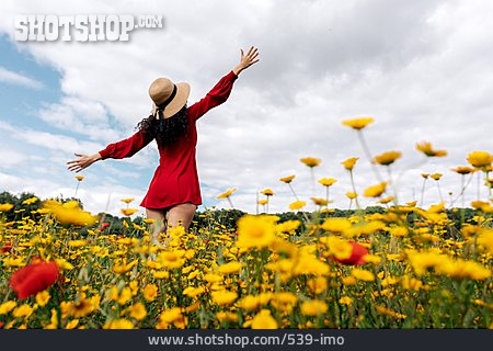 
                Freiheit, Blumenmeer, Sommerwiese, Lebensfreude                   