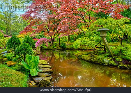 
                Park, Japanischer Garten, Landgoed Clingendael                   