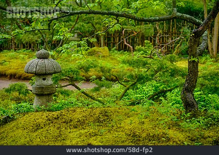 
                Park, Japanischer Garten, Landgoed Clingendael                   