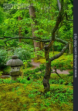 
                Park, Verwunschen, Japanischer Garten                   