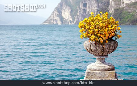 
                Blumentopf, Gardasee                   