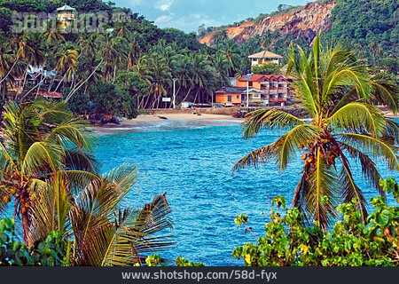 
                Strand, Reiseziel, Sri Lanka, Ferienanlage                   
