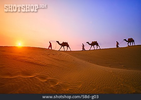 
                Sonnenlicht, Karawane, Wüste Thar                   
