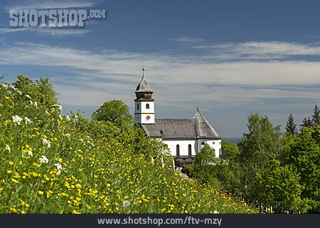 
                Klosterkirche, Kloster Maria Eck                   