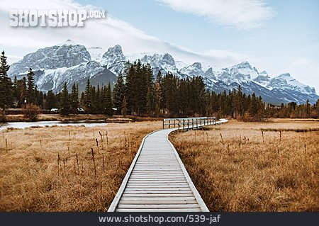 
                Kanada, Alberta, Holzweg, Banff-nationalpark                   