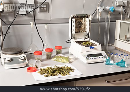 
                Cannabis, Cannabidiol, Medizinisches Cannabis, Cannabisprodukt                   