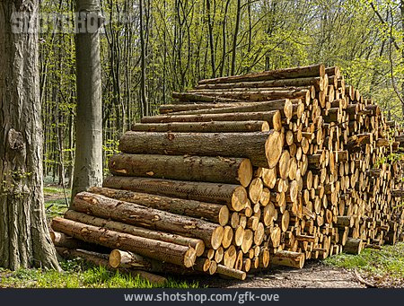
                Holzstapel, Baumstamm, Brennholz                   