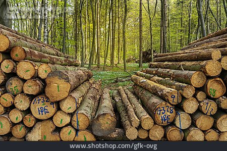 
                Holzstapel, Baumstamm, Forstwirtschaft                   