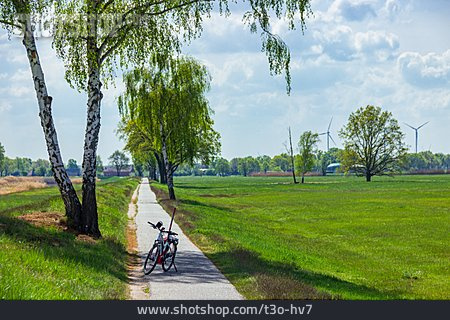 
                Fahrrad, Radweg                   