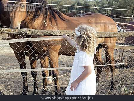 
                Ländlich, Kindheit, Pferdekoppel                   
