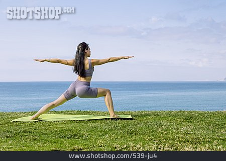 
                Workout, Virabhadrasana, Outdoor Yoga                   