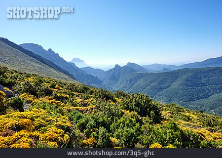 
                Pyrenäen, Ordesa Nationalpark                   