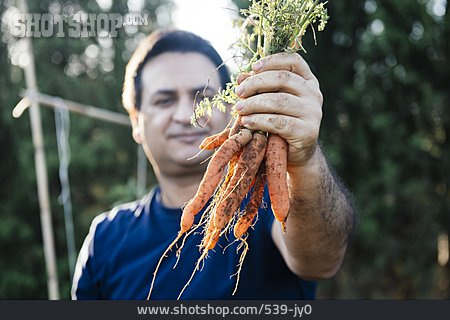 
                Karotte, Gemüseanbau, Biobauer                   