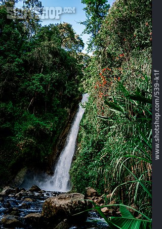 
                Wasserfall, Costa Rica, Turrialba                   