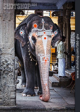
                Elefant, Hinduismus, Heiliges Tier                   