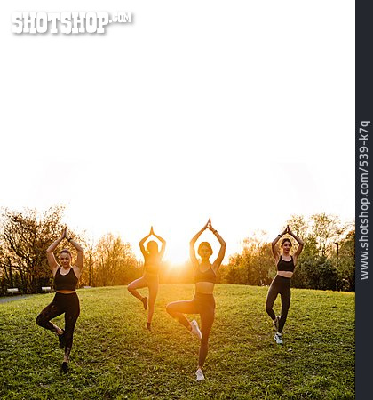 
                Wiese, Balance, Yoga, Sportgruppe                   