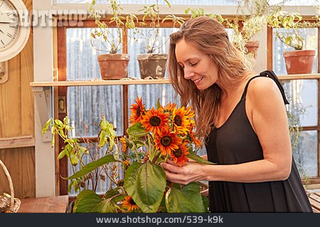 
                Junge Frau, Sonnenblume, Gartenarbeit, Gewächshaus                   