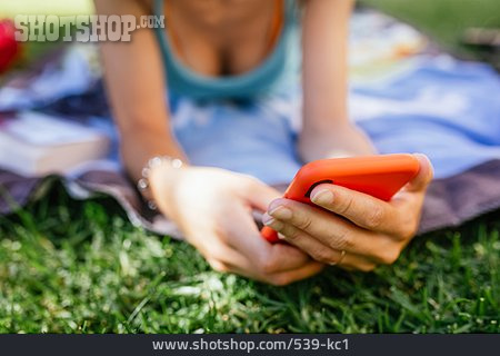 
                Wiese, Sommer, Online, Smartphone                   