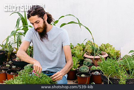 
                Gärtner, Dachgarten, Urban Gardening                   