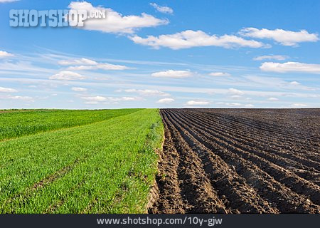 
                Landwirtschaft, Ackerbau, Nutzfläche                   