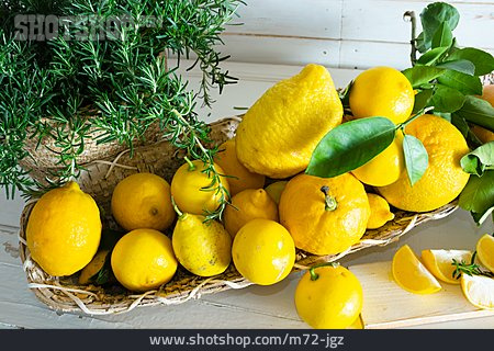 
                Rosmarin, Zitronen                   