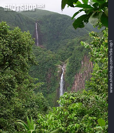 
                Wasserfall, Regenwald, Guadeloupe                   
