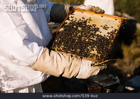 
                Imker, Honigwabe, Honigproduktion                   