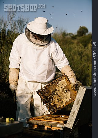 
                Bienenstock, Imker, Honigwabe, Honigproduktion                   