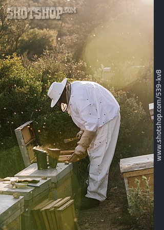 
                Bienen, Imkerei, Honigproduktion, Smoker                   
