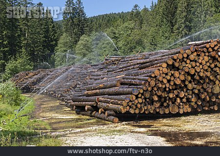 
                Holzstapel, Bewässern                   