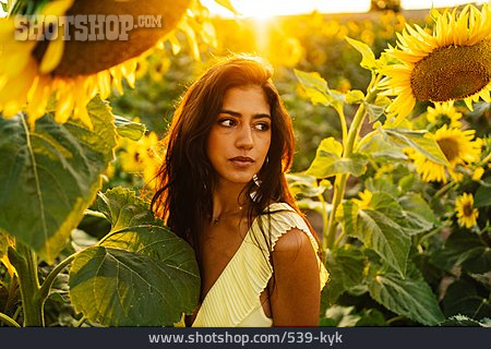 
                Junge Frau, Romantisch, Sonnenblumenfeld                   