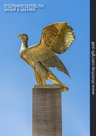 
                Goldener Adler                   