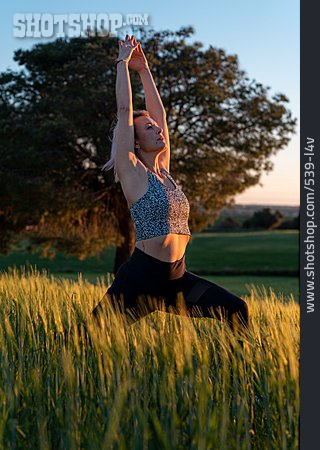 
                Yoga, Ashta Chandrasana, Outdoor Yoga                   