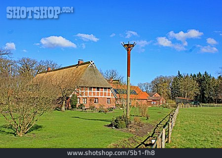 
                Bauernhaus, Lüneburger Heide                   