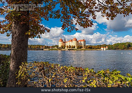 
                See, Herbst, Schloss Moritzburg                   