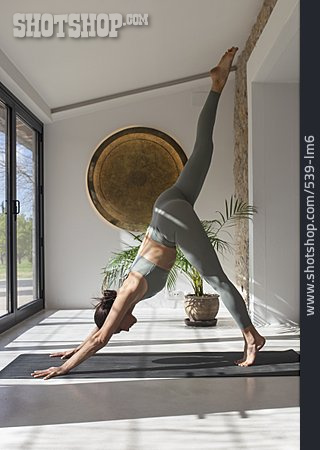 
                Balance, Yoga, Eka Pada Adho Mukha Svanasana                   