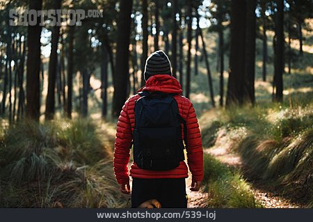 
                Path, Hiker, Hiking Trip                   