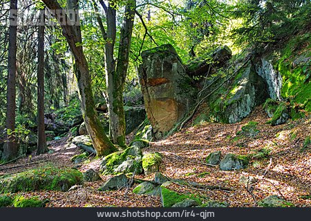
                Wald, Felsformation, Zittauer Gebirge                   