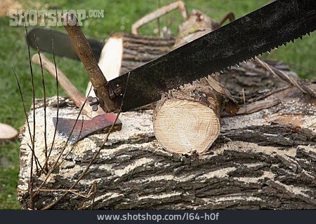 
                Brennholz, Holzmachen, Handsäge                   