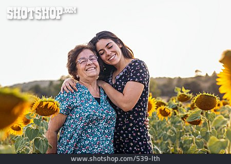 
                Großmutter, Porträt, Sonnenblumenfeld, Enkeltochter                   